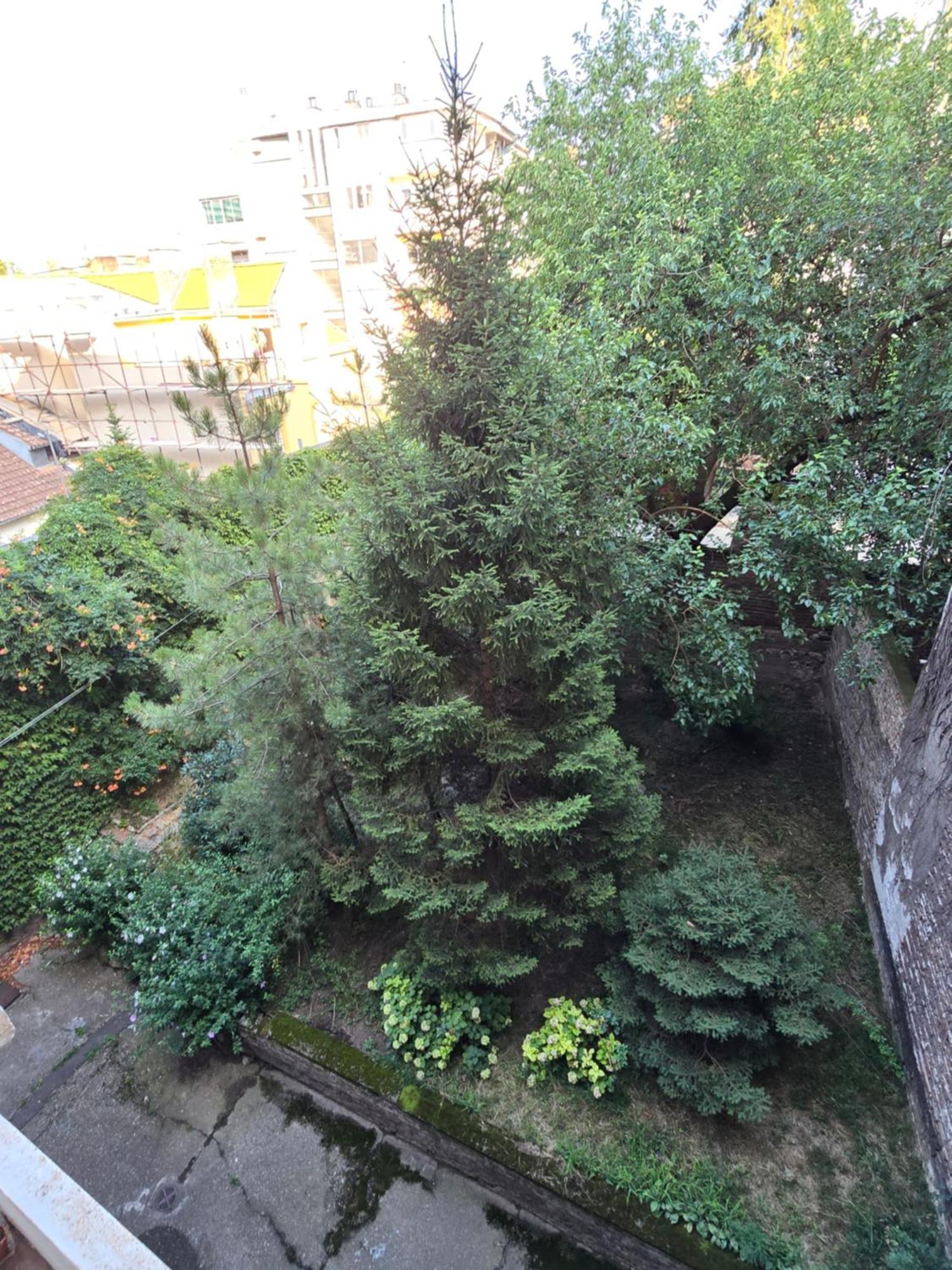 Azzurro Studio Apartment Beograd Bagian luar foto